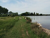 IMG_20250719_105821533
