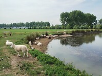 IMG_20250719_105801504