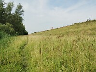IMG_20250719_105003163