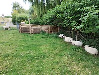IMG_20250719_104517114