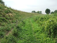 IMG_20250719_100944085