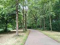 IMG_20250724_100726993