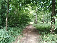 IMG_20250724_101044104