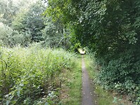 IMG_20250724_103639867