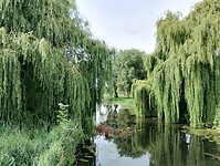 IMG_20250724_104703154_HDR