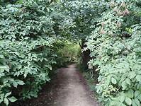IMG_20250724_113747632