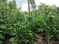 IMG_20250724_113838803