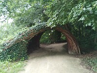 IMG_20250724_114530665