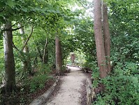 IMG_20250724_114542783