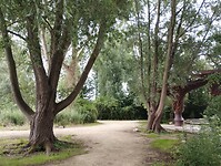 IMG_20250724_114700768
