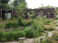 IMG_20250724_114823428