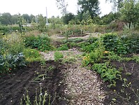 IMG_20250724_115025765