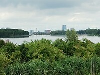 IMG_20250724_121642463