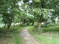 IMG_20250724_123437764