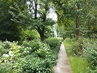 IMG_20250724_123847834