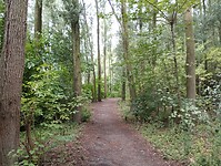 IMG_20250724_125648955
