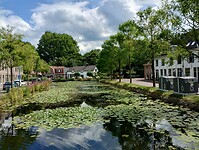 IMG_20250729_141449734_HDR