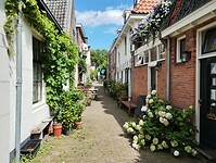 IMG_20250729_141237034