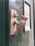 IMG_20250729_140745749