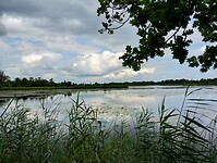IMG_20250727_131325812_HDR