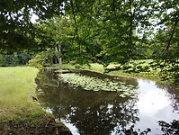 IMG_20250727_113456583