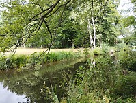 IMG_20250727_112425354
