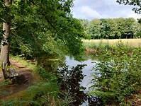 IMG_20250727_112342121_HDR