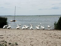 IMG_20250807_141635503