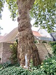IMG_20250807_121115416_HDR