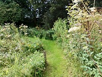 IMG_20250807_105835004_HDR