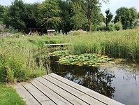 IMG_20250807_105827948
