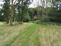IMG_20250807_105534349
