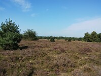 IMG_20250809_101118853