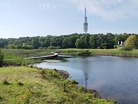 IMG_20250809_105302625