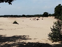 IMG_20250809_130022432
