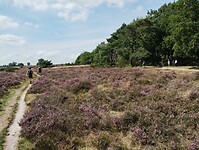 IMG_20250809_150309218