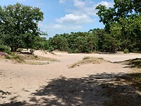 IMG_20250809_151227837_HDR