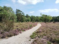 IMG_20250809_153105910