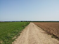 IMG_20250813_160125783