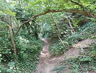 IMG_20250813_145209957