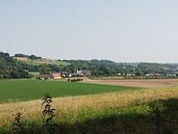 IMG_20250813_113642185