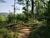 IMG_20250813_113315817_HDR