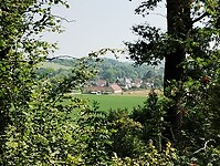 IMG_20250813_113245335