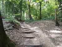 IMG_20250813_112227356