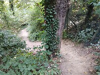 IMG_20250813_110903941