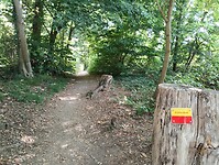 IMG_20250813_110647078