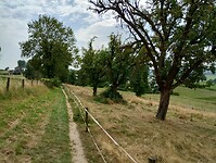 IMG_20250814_142740658_HDR