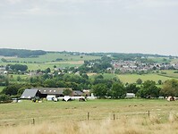 IMG_20250814_142732274