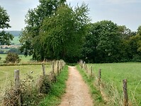 IMG_20250814_142558358_HDR