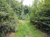IMG_20250814_134657445